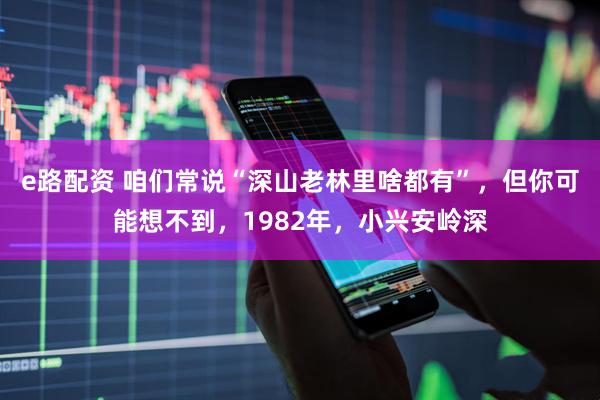 e路配资 咱们常说“深山老林里啥都有”，但你可能想不到，1982年，小兴安岭深