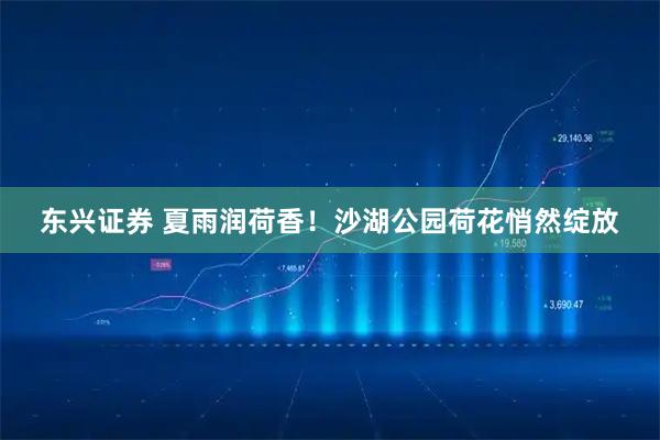 东兴证券 夏雨润荷香！沙湖公园荷花悄然绽放