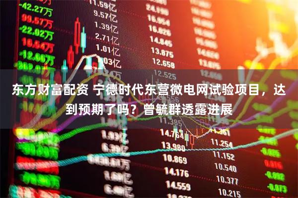 东方财富配资 宁德时代东营微电网试验项目，达到预期了吗？曾毓群透露进展