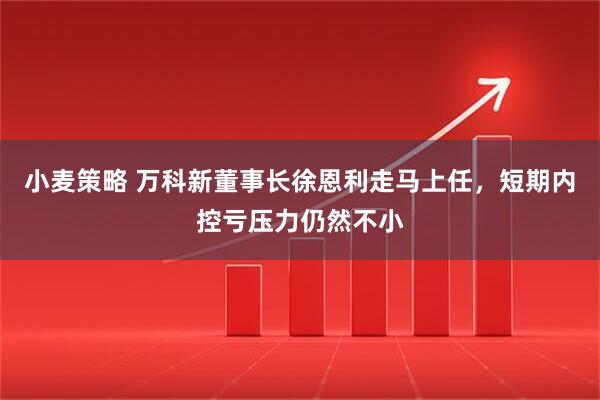 小麦策略 万科新董事长徐恩利走马上任，短期内控亏压力仍然不小